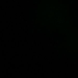 Meet your Posher, Louise